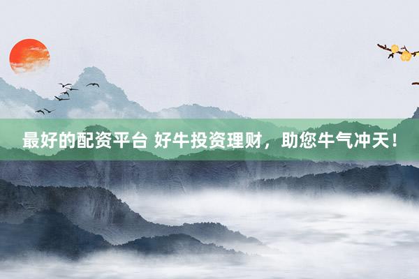 最好的配资平台 好牛投资理财，助您牛气冲天！
