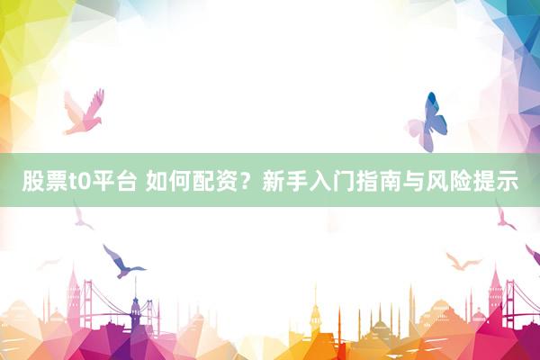 股票t0平台 如何配资？新手入门指南与风险提示