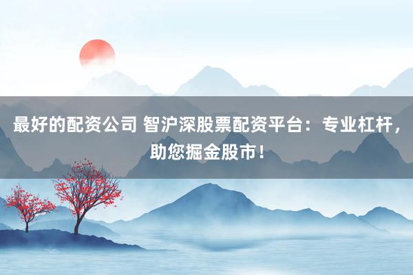 最好的配资公司 智沪深股票配资平台：专业杠杆，助您掘金股市！