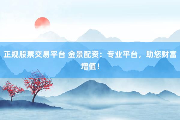 正规股票交易平台 金景配资：专业平台，助您财富增值！
