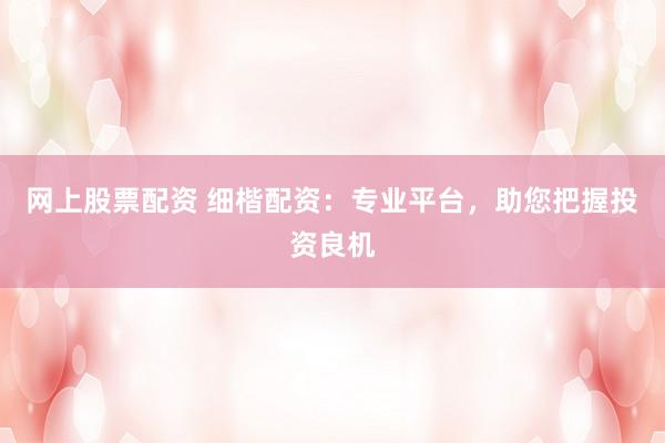 网上股票配资 细楷配资：专业平台，助您把握投资良机