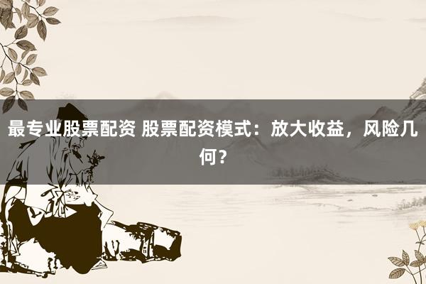 最专业股票配资 股票配资模式：放大收益，风险几何？