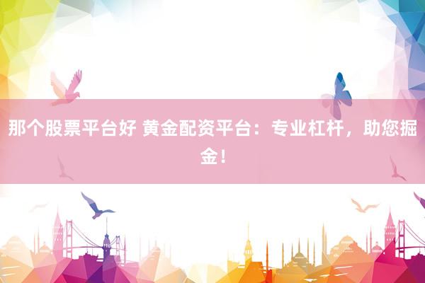 那个股票平台好 黄金配资平台：专业杠杆，助您掘金！