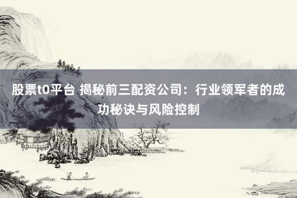 股票t0平台 揭秘前三配资公司：行业领军者的成功秘诀与风险控制
