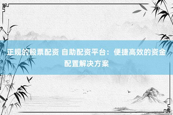 正规的股票配资 自助配资平台：便捷高效的资金配置解决方案