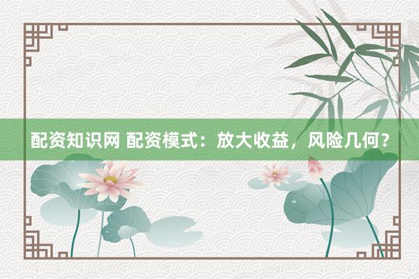 配资知识网 配资模式：放大收益，风险几何？