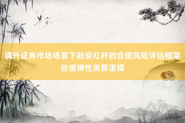 境外证券市场场景下融资杠杆的合规风险评估框架估值弹性测算逻辑