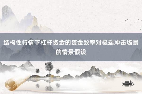 结构性行情下杠杆资金的资金效率对极端冲击场景的情景假设