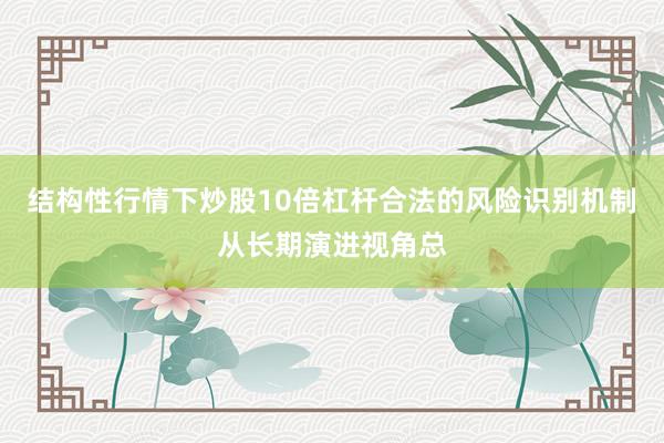 结构性行情下炒股10倍杠杆合法的风险识别机制从长期演进视角总