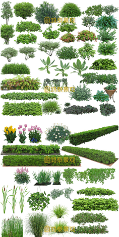 D-植物素材